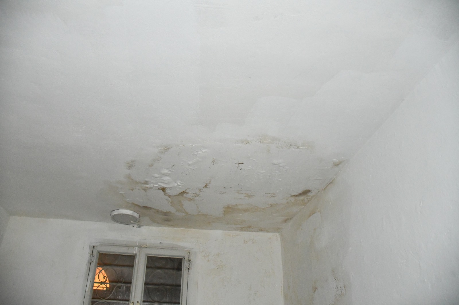 WhatsApp Image 2020-02-10 at 11.22.36 AM.jpeg.jpeg